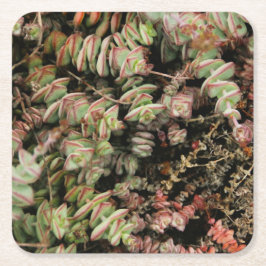 穿孔下皮 スクエアペーパーコースター