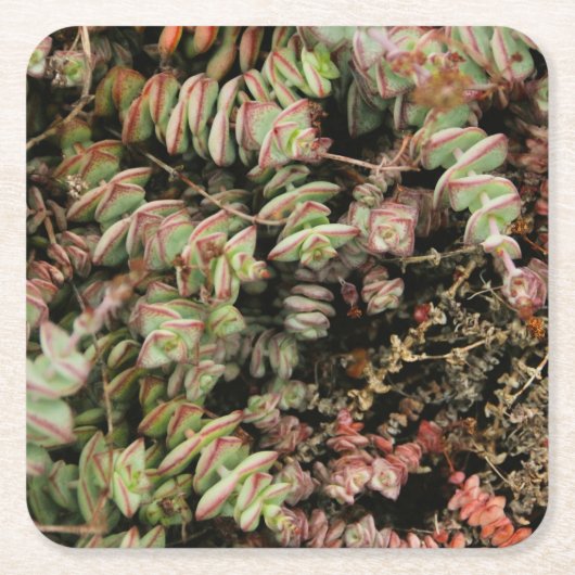 穿孔下皮 スクエアペーパーコースター (正面)