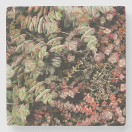 穿孔下皮 ストーンコースター