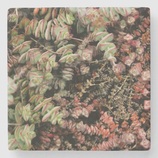 穿孔下皮 ストーンコースター (正面)