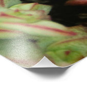 穿孔下皮 フォトプリント            (角)