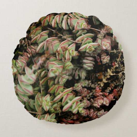 穿孔下皮 ラウンドクッション (正面)