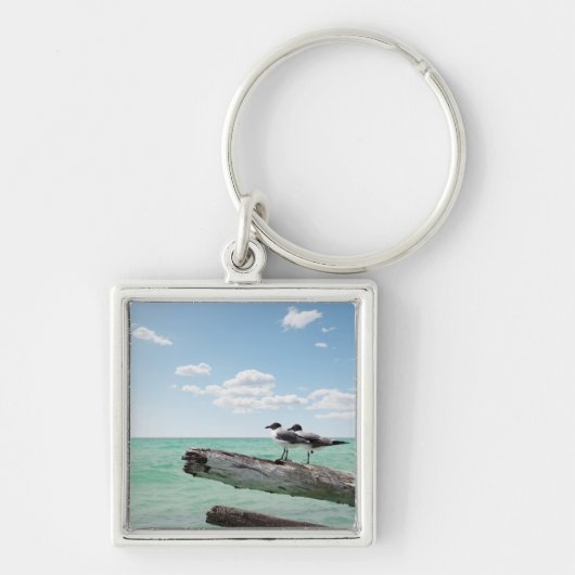 突き出る死んだ木に坐っている2羽のカモメ キーホルダー (正面)