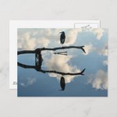 突出した部分 ポストカード (正面/裏面)