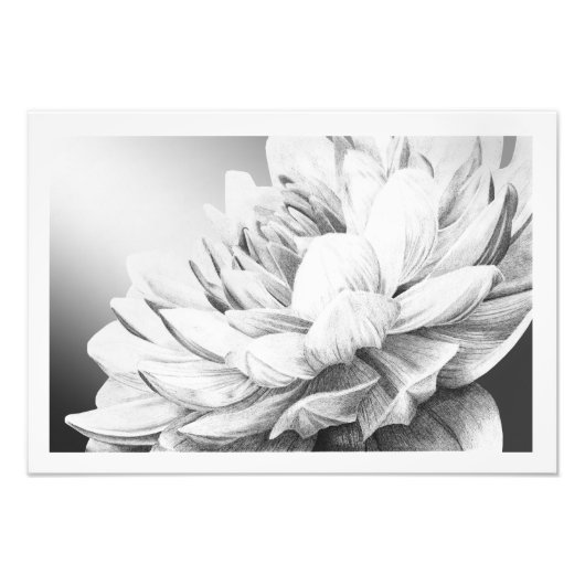 突然の春縁どの音 フォトプリント            (正面)