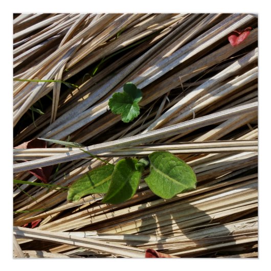 突破 ポスター (正面)