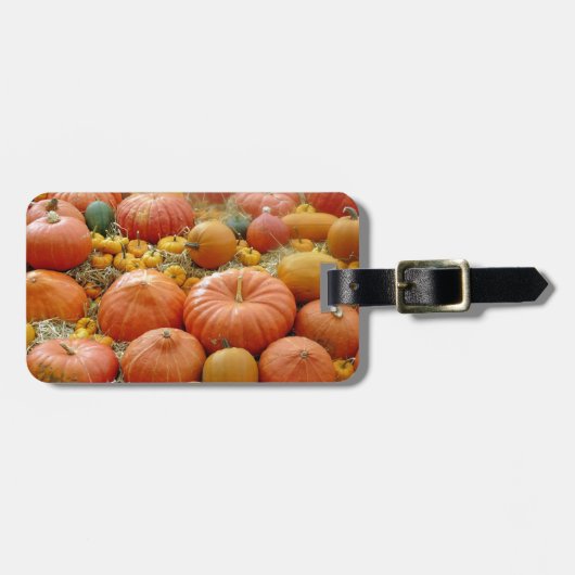 突進する ラゲッジタグ (正面横)