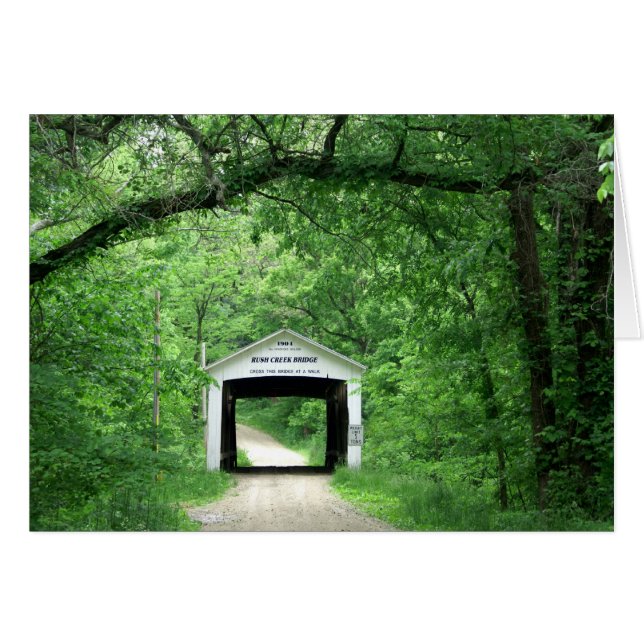 突進の入り江橋 (正面横)