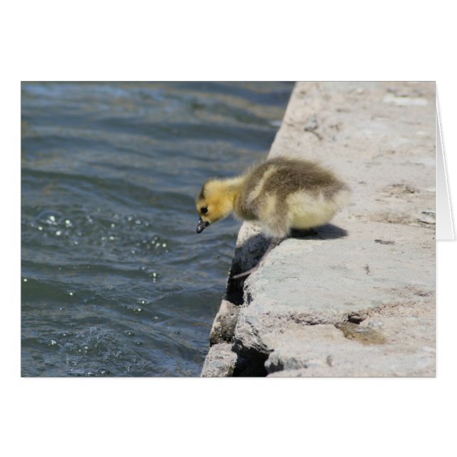 突進の取得 (正面横)