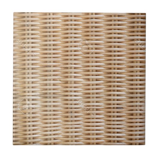 突進 タイル (正面)