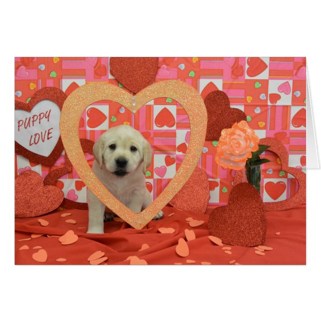 突風週6の写真 (正面横)