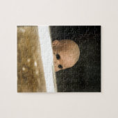 窓から凝視するヴィンテージ汚れたDollhead ジグソーパズル (横)