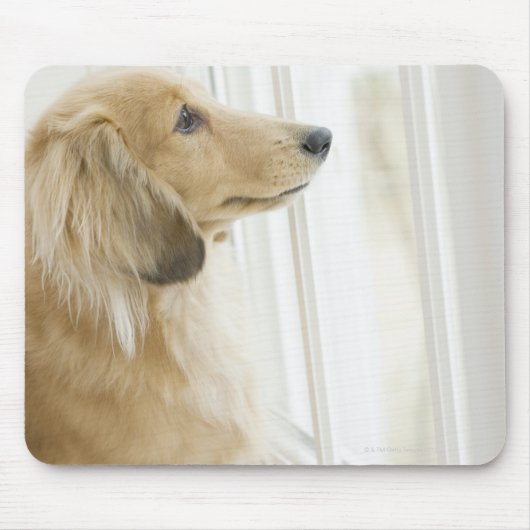 窓から外を見ている犬 マウスパッド (正面)