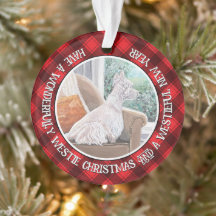 窓から外を見るウェスティン