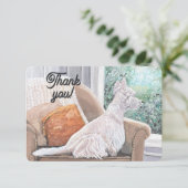 窓から外を見るウェスティン サンキューカード (スタンド正面)