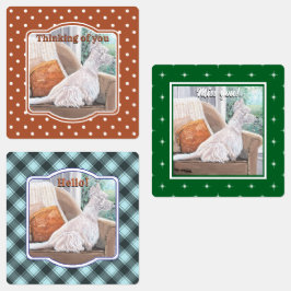 窓から外を見るウェスティン ラベル