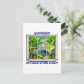 窓から外を見る ポストカード (スタンド正面)