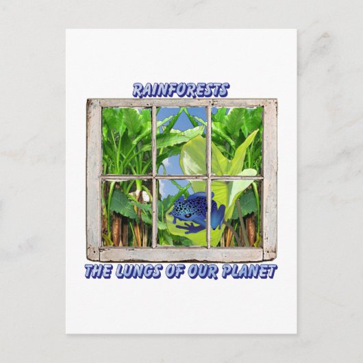 窓から外を見る ポストカード (正面)