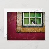 窓から猫を投げる ポストカード (正面/裏面)