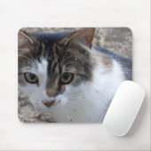 窓から猫を投げる マウスパッド (マウス)