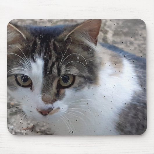 窓から猫を投げる マウスパッド (正面)