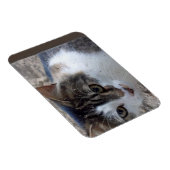 窓から猫を投げる マグネット (右側)