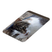 窓から猫を投げる マグネット (左側)