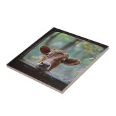 窓から見る奇妙な牛 タイル (側面)