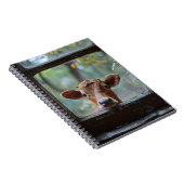 窓から見る奇妙な牛 ノートブック (右側)