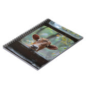 窓から見る奇妙な牛 ノートブック (左側)