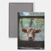 窓から見る奇妙な牛 マグネット (正面/裏面)