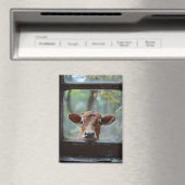 窓から見る奇妙な牛 マグネット (インサイチュ (食洗機))