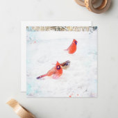 窓から鳥を追い出す冬の鳥 ノートカード (正面/裏面インサイチュ)