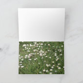 窓から! カード (内部)