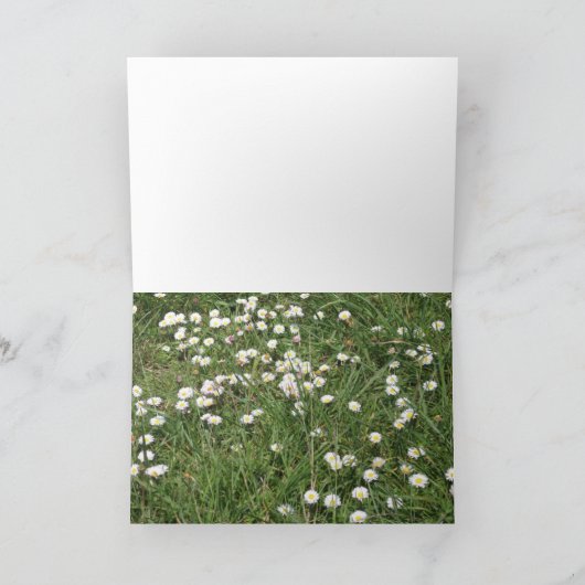 窓から! カード (内部)