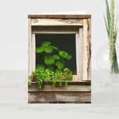 窓かわいらしの植素朴物誕生日 カード (正面)