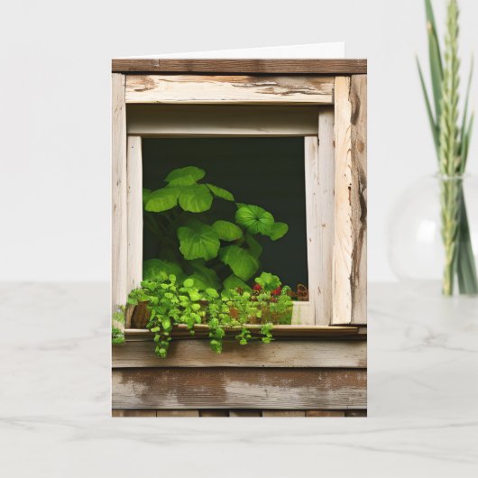 窓かわいらしの植素朴物誕生日 カード (正面)