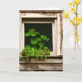 窓かわいらしの植素朴物誕生日 カード (黄色い花)