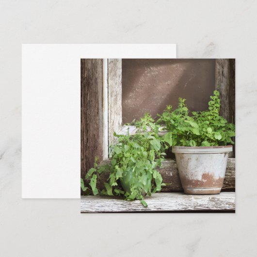 窓かわいらしの植素朴物 (正面/裏面)