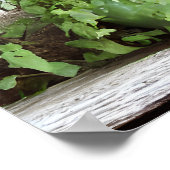 窓かわいらしの植素朴物 ポスター (角)