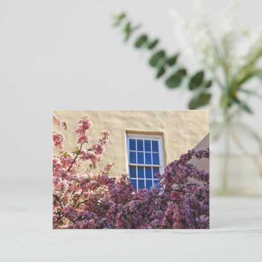 窓と花 ポストカード (スタンド正面)