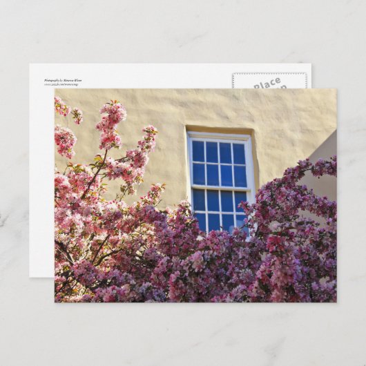 窓と花 ポストカード (正面/裏面)