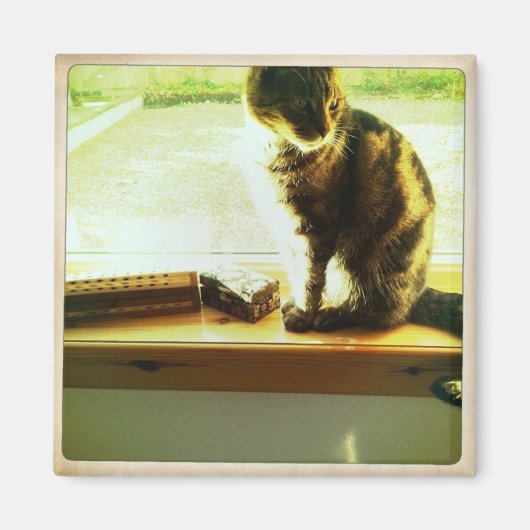 窓にチャーリー マグネット (正面)