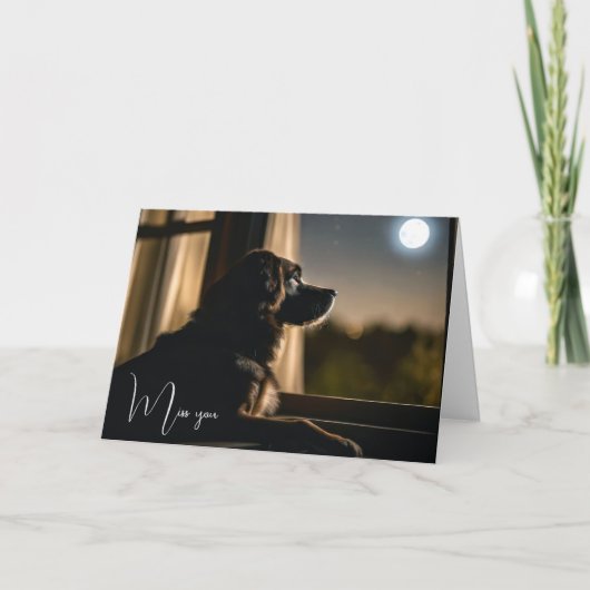 窓にドギーが置かれている カード (正面)