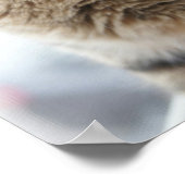 窓に座っている猫のクローズアップ ポスター (角)