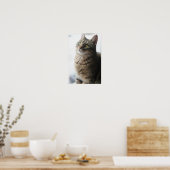 窓に座っている猫のクローズアップ ポスター (キッチン)