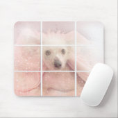 窓に毛のない犬 マウスパッド (マウス)
