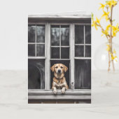 窓に犬を入れて恋しく思くれ カード (黄色い花)