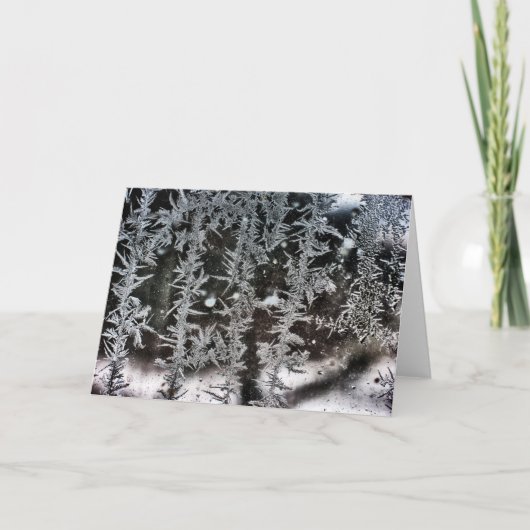 窓に霜 シーズンカード (正面)