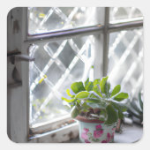 窓のかわいらし水彩植物 スクエアシール (正面)